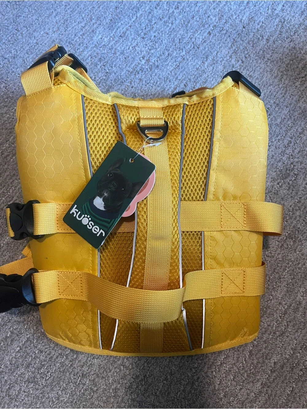 Kuoser sturdy rescue